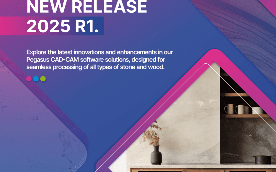 New release 2025 R1