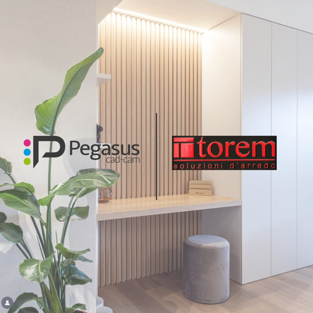 Torem case history cover